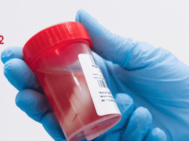 BebéVida premiada com Estatuto INOVADORA COTEC 2022 - 99