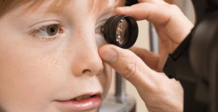 Transplante de células estaminais atrasa a progressão de doenças degenerativas da retina - 99