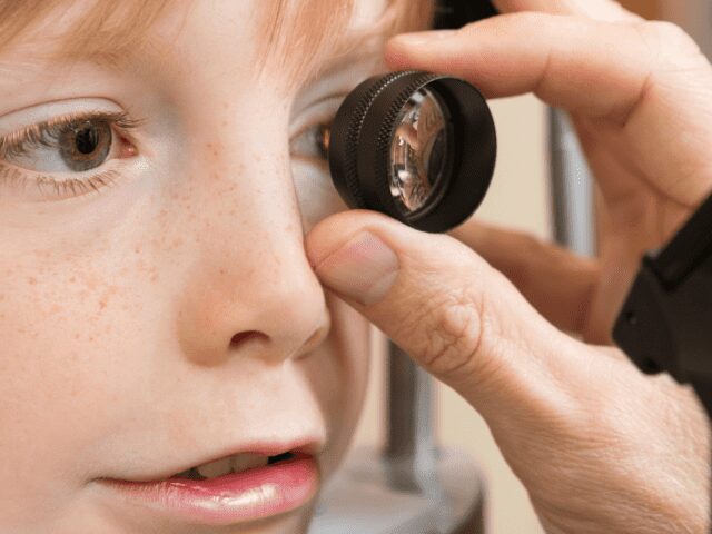 Transplante de células estaminais atrasa a progressão de doenças degenerativas da retina - 99