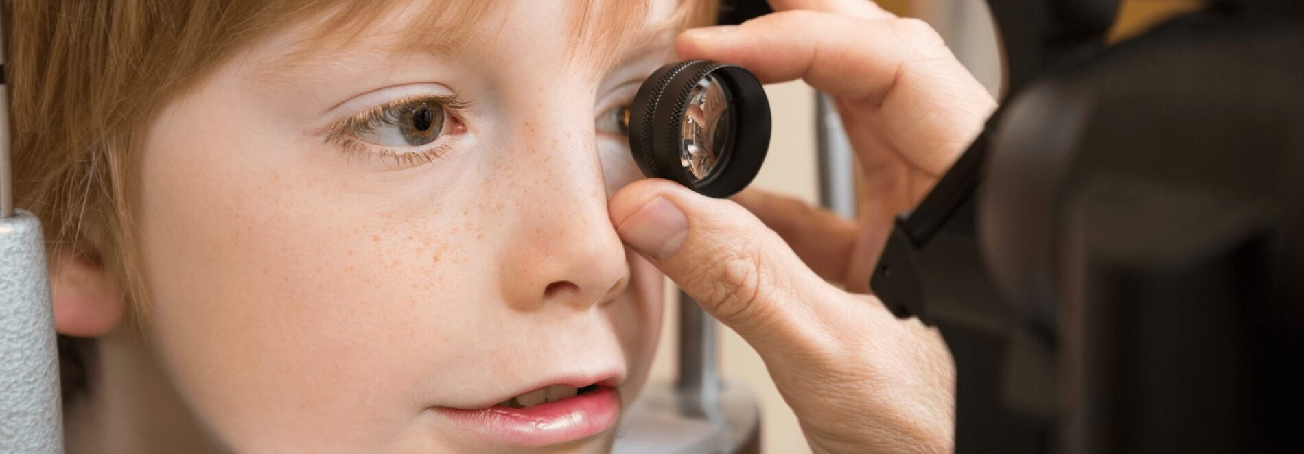 Transplante de células estaminais atrasa a progressão de doenças degenerativas da retina - 99