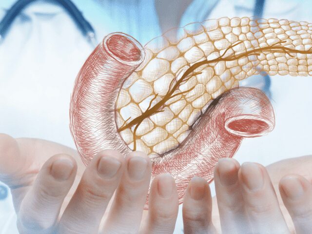 Possível avanço no tratamento da diabetes através da regeneração da insulina nas células estaminais pancreáticas - 99