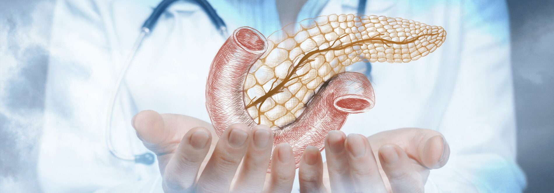 Possível avanço no tratamento da diabetes através da regeneração da insulina nas células estaminais pancreáticas - 99