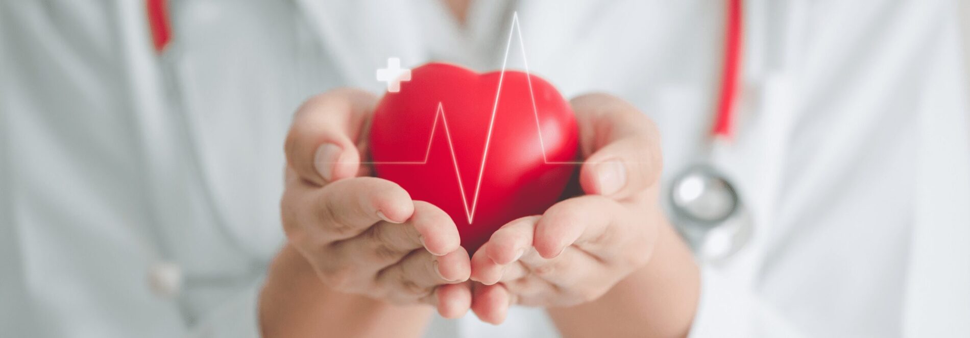 Células mesenquimais e engenharia de tecidos para reparar o coração após um ataque cardíacoCélulas mesenquimais e engenharia de tecidos para reparar o coração após um ataque cardíaco - 99