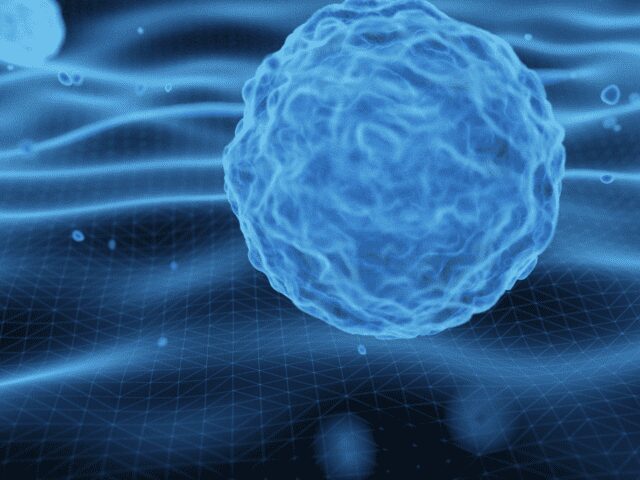 Células estaminais do cordão umbilical podem melhorar lesões cerebrais - 99