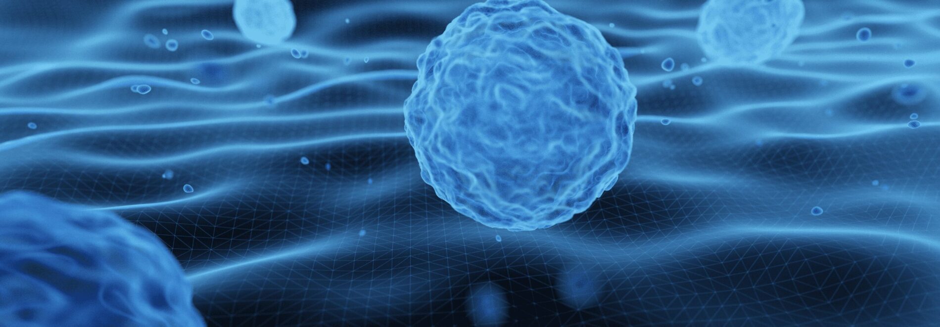 Células estaminais do cordão umbilical podem melhorar lesões cerebrais - 99