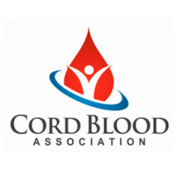 cord blood