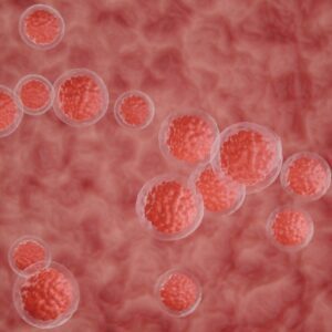 Células do cordão umbilical podem criar um sistema imunológico melhor contra o cancro - 99
