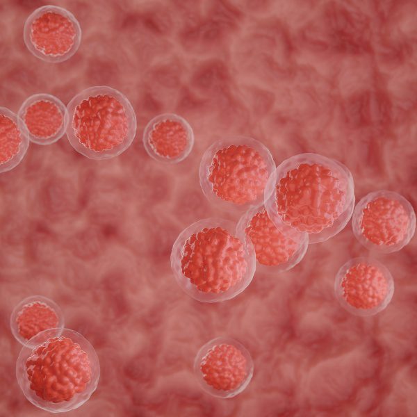 Células do cordão umbilical podem criar um sistema imunológico melhor contra o cancro - 99