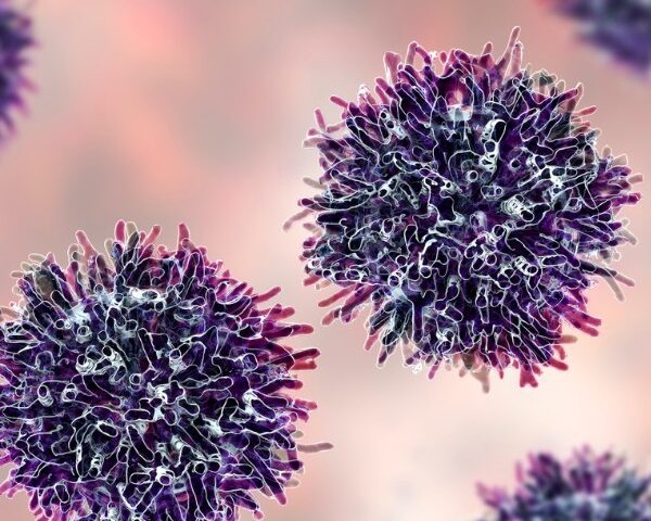 O potencial papel das células estaminais mesenquimais no tratamento do cancro - 99