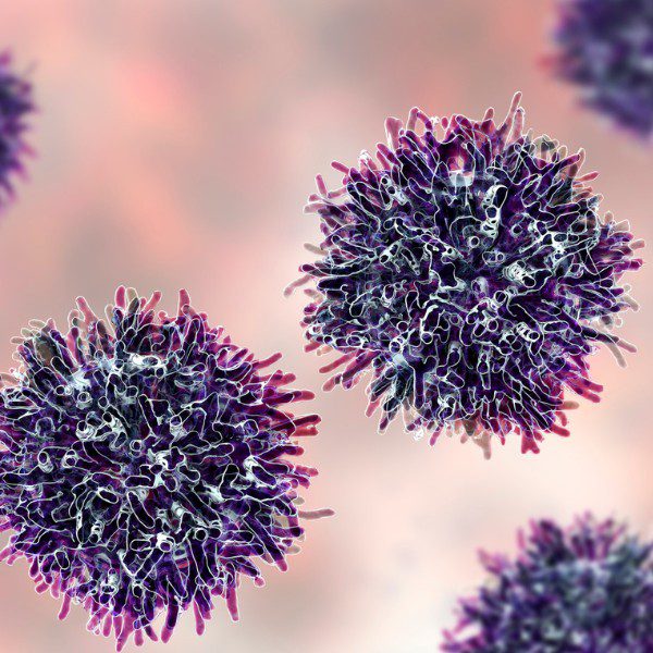 O potencial papel das células estaminais mesenquimais no tratamento do cancro - 99