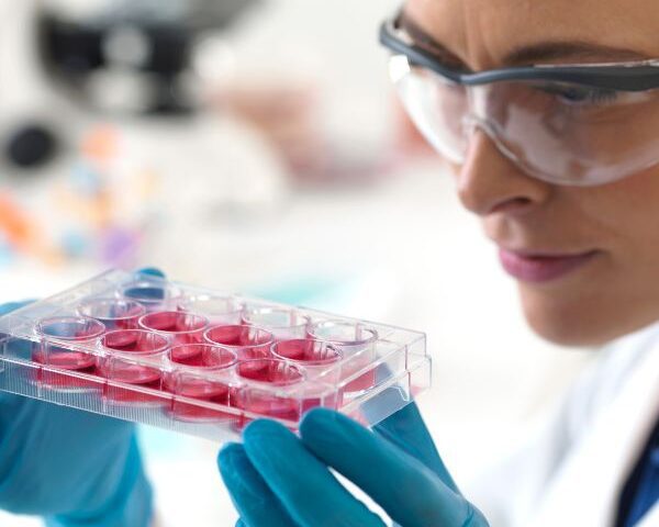 A eficácia das células estaminais no tratamento do Parkinson, Diabetes e Epilepsia - 99