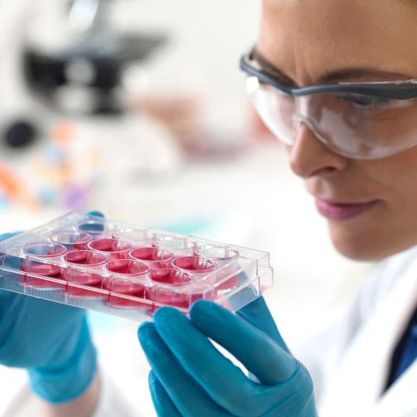 A eficácia das células estaminais no tratamento do Parkinson, Diabetes e Epilepsia - 99