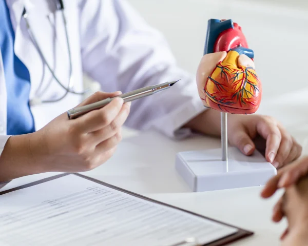 É possível regenerar o coração reprogramando células do cordão umbilical