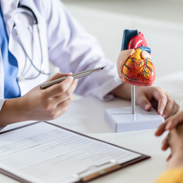 É possível regenerar o coração reprogramando células do cordão umbilical