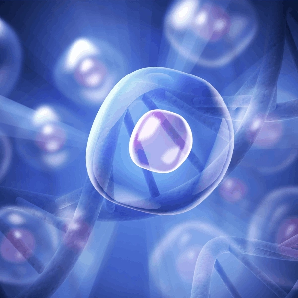 Grupo de hospitais em Espanha realiza tratamento inovador com células estaminais em jovem com Necrose Avascular