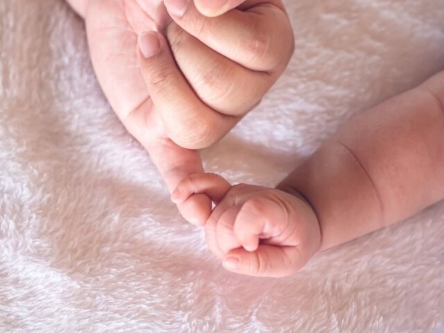 Os bancos de sangue do cordão umbilical começam a cumprir a sua promessa