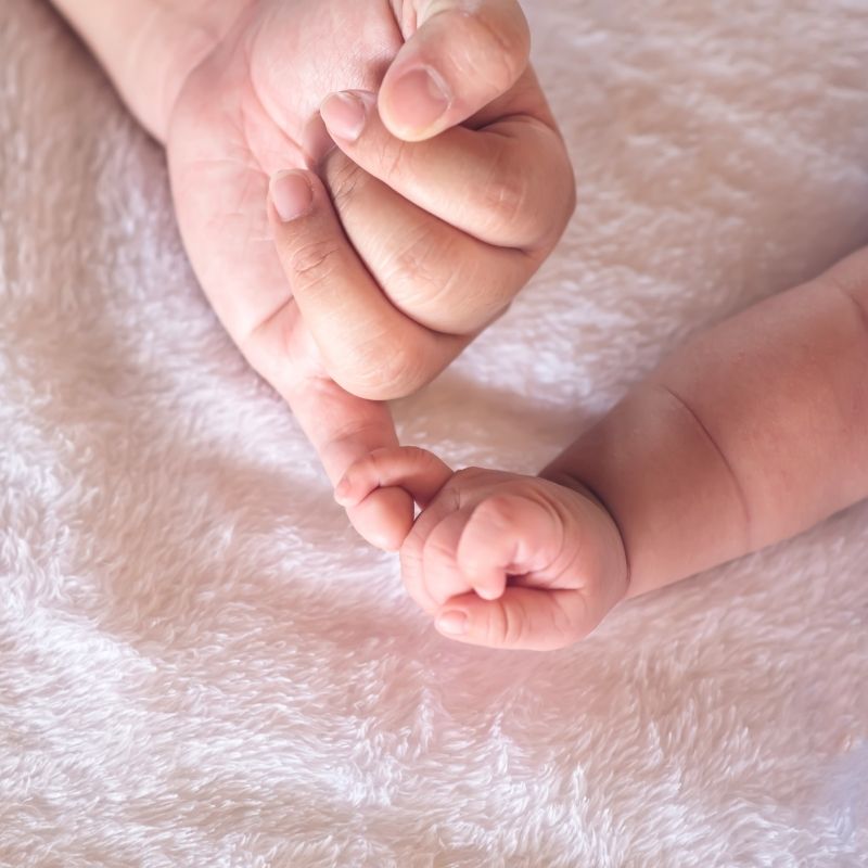 Os bancos de sangue do cordão umbilical começam a cumprir a sua promessa