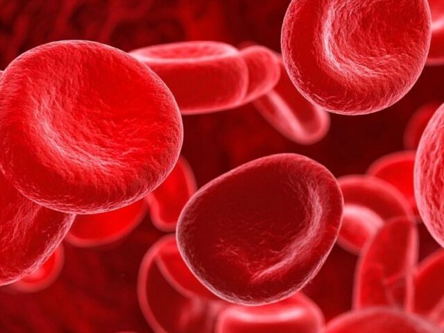 Estudo prospetivo sobre a utilidade do transplante de sangue do cordão umbilical para o tratamento da anemia aplásica