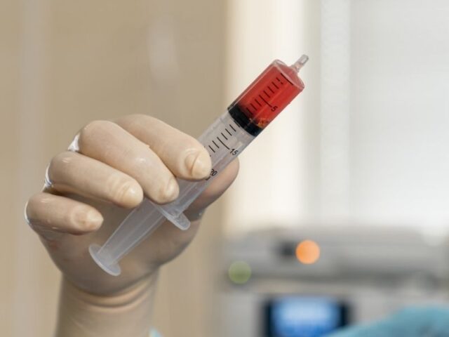 Criado modelo de medula óssea a partir de células estaminais