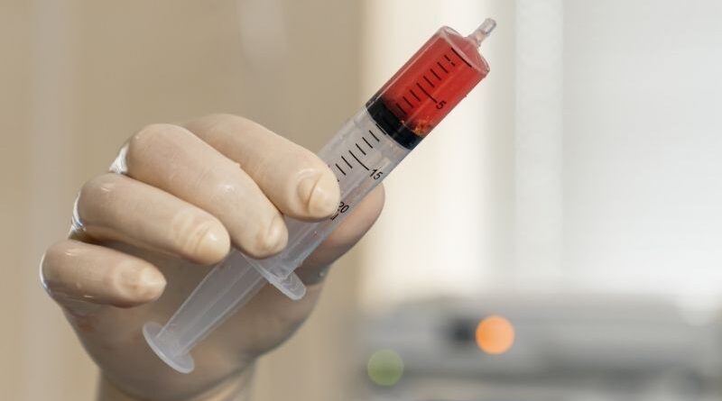 Criado modelo de medula óssea a partir de células estaminais