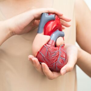 Um coração danificado pode ter uma segunda oportunidade. O transplante de células do cordão, depois de um enfarte, pode reduzir o risco de insuficiência cardíaca. Um ensaio clínico inovador mostra que a aplicação precoce de células estaminais após um enfarte do miocárdio pode fortalecer a função cardíaca e reduzir o risco de insuficiência cardíaca, abrindo uma nova era na cardiologia regenerativa. De acordo com os investigadores, os resultados “sugerem que esta técnica pode servir como um procedimento complementar valioso após um enfarte do miocárdio para prevenir o desenvolvimento de insuficiência cardíaca e reduzir o risco de eventos adversos futuros”.