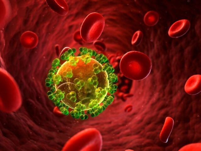 Sétimo paciente livre do vírus VIH após transplante de células estaminais