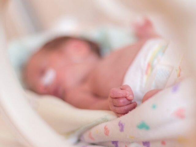 Benefícios do transplante de sangue do cordão umbilical em prematuros O estudo apresentado foi desenvolvido para demonstrar que os glóbulos vermelhos provenientes do sangue do cordão umbilical são um produto seguro e disponível para transfusão em bebés extremamente prematuros e que a sua utilização não é menos eficaz do que a transfusão de glóbulos vermelhos provenientes de doadores adultos no tratamento da anemia do prematuro. A prematuridade constitui um importante problema de saúde materno-infantil devido à sua elevada incidência e às complicações associadas. A anemia é frequente em prematuros extremos e o seu tratamento requer, muitas vezes, transfusões de glóbulos vermelhos, habitualmente obtidos a partir de doadores adultos. No entanto, algumas complicações da prematuridade podem aumentar com transfusões provenientes de doadores adultos, como retinopatia da prematuridade, displasia broncopulmonar e enterocolite necrosante, possivelmente devido a diferenças na libertação de oxigénio e à presença de pequenas quantidades de metais pesados que podem ser potencialmente tóxicos para estes recém-nascidos. Os glóbulos vermelhos do sangue do cordão umbilical podem constituir uma alternativa mais adequada, uma vez que não alteram o perfil de hemoglobina e podem reduzir a toxicidade associada ao oxigénio. Estudos anteriores já avaliaram a segurança destas transfusões em prematuros, não demonstrando aumento do risco de complicações em comparação com transfusões de doadores adultos. Foi, assim, concebido um estudo piloto para avaliar a segurança, viabilidade e eficácia da utilização de glóbulos vermelhos do sangue do cordão umbilical em transfusões para bebés extremamente prematuros.