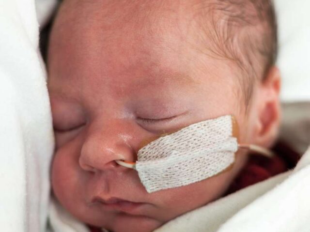 Estudo avalia células do cordão umbilical na displasia broncopulmonar A investigação com células estaminais do cordão umbilical continua a abrir novas possibilidades na medicina regenerativa. Um estudo clínico de fase 1, publicado na revista científica Cytotherapy, avaliou a administração intravenosa de células estaminais mesenquimais derivadas do tecido do cordão umbilical em bebés extremamente prematuros com elevado risco de desenvolver displasia broncopulmonar. A displasia broncopulmonar é uma doença pulmonar crónica que pode afetar recém-nascidos prematuros, sobretudo aqueles que nascem muito antes do tempo, com baixo peso e que necessitam de suporte respiratório ou ventilação mecânica nos primeiros dias de vida. Nestes bebés, os pulmões ainda se encontram em desenvolvimento e podem ser particularmente vulneráveis à inflamação, ao oxigénio e à ventilação necessária para garantir a sobrevivência. Apesar dos avanços nos cuidados neonatais, continua a existir uma necessidade significativa de novas estratégias que possam ajudar a proteger ou reparar o pulmão imaturo. É neste contexto que as células estaminais mesenquimais, nomeadamente as obtidas a partir do tecido do cordão umbilical, têm despertado interesse na comunidade científica. O que avaliou este estudo? O estudo analisou a segurança e a viabilidade da administração de três doses intravenosas sequenciais de células estaminais mesenquimais derivadas do tecido do cordão umbilical em recém-nascidos extremamente prematuros. Foram incluídos 10 bebés com idade gestacional igual ou inferior a 28 semanas e peso ao nascimento igual ou inferior a 1250 gramas. Todos necessitavam de ventilação mecânica invasiva e apresentavam elevado risco de desenvolver displasia broncopulmonar. Cada bebé recebeu três administrações intravenosas, com intervalo de sete dias entre cada dose. O objetivo principal dos investigadores não foi demonstrar a eficácia do tratamento, mas sim perceber se esta abordagem era segura, exequível e bem tolerada neste grupo particularmente vulnerável. Quais foram os principais resultados? De acordo com os autores, todos os bebés incluídos no estudo receberam as três doses previstas. A primeira administração ocorreu, em média, por volta do 16.º dia de vida. Durante o período de administração, durante o internamento hospitalar e ao longo do seguimento de dois anos, não foram observadas mortes nem eventos adversos graves relacionados com a infusão das células. Todos os bebés tiveram alta hospitalar. Embora todos os participantes tenham sido posteriormente diagnosticados com displasia broncopulmonar, os resultados sugerem que a administração repetida destas células foi possível e segura no curto e médio prazo. Porque é que o tecido do cordão umbilical é tão relevante? O tecido do cordão umbilical é uma fonte rica em células estaminais mesenquimais. Estas células são estudadas pelo seu potencial imunomodulador, anti-inflamatório e regenerativo, características que as tornam particularmente interessantes em áreas como a medicina pulmonar, neurológica, ortopédica e imunológica. Ao contrário das células estaminais hematopoiéticas, presentes sobretudo no sangue do cordão umbilical e utilizadas há décadas em transplantes para várias doenças do sangue e do sistema imunitário, as células mesenquimais encontram-se principalmente no tecido do cordão. Por isso, a criopreservação do tecido do cordão umbilical pode representar uma oportunidade importante para acompanhar a evolução da investigação científica nesta área. O que significa este estudo para o futuro? Este estudo representa mais um passo na investigação sobre o potencial terapêutico das células estaminais mesenquimais do tecido do cordão umbilical. No entanto, é importante sublinhar que se trata de um ensaio clínico de fase 1, com um número reduzido de participantes e sem grupo de controlo. Isto significa que os resultados são promissores ao nível da segurança, mas ainda não permitem concluir que esta abordagem seja eficaz no tratamento ou prevenção da displasia broncopulmonar. Para isso, serão necessários estudos maiores, controlados e com avaliação clínica mais alargada. Ainda assim, a investigação reforça a importância do cordão umbilical como uma fonte valiosa de células com potencial biomédico. Aquilo que durante muito tempo foi descartado após o parto é hoje objeto de estudo em múltiplas áreas da medicina regenerativa. Criopreservar hoje para acompanhar a medicina do futuro A criopreservação das células estaminais do sangue e do tecido do cordão umbilical permite conservar um recurso biológico único, recolhido apenas no momento do nascimento. Embora muitas aplicações ainda estejam em fase experimental, cada novo estudo contribui para compreender melhor como estas células poderão vir a ser utilizadas no futuro. A decisão de criopreservar é uma escolha informada, feita num momento único: o nascimento. E a ciência continua a demonstrar que o cordão umbilical pode ter um papel cada vez mais relevante na medicina personalizada e regenerativa. Nota: Este artigo tem finalidade informativa e não substitui o aconselhamento médico. As aplicações clínicas referidas no contexto da displasia broncopulmonar encontram-se em investigação e não devem ser interpretadas como tratamentos aprovados ou garantidos.