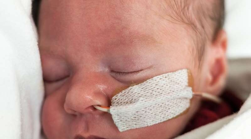 Estudo avalia células do cordão umbilical na displasia broncopulmonar A investigação com células estaminais do cordão umbilical continua a abrir novas possibilidades na medicina regenerativa. Um estudo clínico de fase 1, publicado na revista científica Cytotherapy, avaliou a administração intravenosa de células estaminais mesenquimais derivadas do tecido do cordão umbilical em bebés extremamente prematuros com elevado risco de desenvolver displasia broncopulmonar. A displasia broncopulmonar é uma doença pulmonar crónica que pode afetar recém-nascidos prematuros, sobretudo aqueles que nascem muito antes do tempo, com baixo peso e que necessitam de suporte respiratório ou ventilação mecânica nos primeiros dias de vida. Nestes bebés, os pulmões ainda se encontram em desenvolvimento e podem ser particularmente vulneráveis à inflamação, ao oxigénio e à ventilação necessária para garantir a sobrevivência. Apesar dos avanços nos cuidados neonatais, continua a existir uma necessidade significativa de novas estratégias que possam ajudar a proteger ou reparar o pulmão imaturo. É neste contexto que as células estaminais mesenquimais, nomeadamente as obtidas a partir do tecido do cordão umbilical, têm despertado interesse na comunidade científica. O que avaliou este estudo? O estudo analisou a segurança e a viabilidade da administração de três doses intravenosas sequenciais de células estaminais mesenquimais derivadas do tecido do cordão umbilical em recém-nascidos extremamente prematuros. Foram incluídos 10 bebés com idade gestacional igual ou inferior a 28 semanas e peso ao nascimento igual ou inferior a 1250 gramas. Todos necessitavam de ventilação mecânica invasiva e apresentavam elevado risco de desenvolver displasia broncopulmonar. Cada bebé recebeu três administrações intravenosas, com intervalo de sete dias entre cada dose. O objetivo principal dos investigadores não foi demonstrar a eficácia do tratamento, mas sim perceber se esta abordagem era segura, exequível e bem tolerada neste grupo particularmente vulnerável. Quais foram os principais resultados? De acordo com os autores, todos os bebés incluídos no estudo receberam as três doses previstas. A primeira administração ocorreu, em média, por volta do 16.º dia de vida. Durante o período de administração, durante o internamento hospitalar e ao longo do seguimento de dois anos, não foram observadas mortes nem eventos adversos graves relacionados com a infusão das células. Todos os bebés tiveram alta hospitalar. Embora todos os participantes tenham sido posteriormente diagnosticados com displasia broncopulmonar, os resultados sugerem que a administração repetida destas células foi possível e segura no curto e médio prazo. Porque é que o tecido do cordão umbilical é tão relevante? O tecido do cordão umbilical é uma fonte rica em células estaminais mesenquimais. Estas células são estudadas pelo seu potencial imunomodulador, anti-inflamatório e regenerativo, características que as tornam particularmente interessantes em áreas como a medicina pulmonar, neurológica, ortopédica e imunológica. Ao contrário das células estaminais hematopoiéticas, presentes sobretudo no sangue do cordão umbilical e utilizadas há décadas em transplantes para várias doenças do sangue e do sistema imunitário, as células mesenquimais encontram-se principalmente no tecido do cordão. Por isso, a criopreservação do tecido do cordão umbilical pode representar uma oportunidade importante para acompanhar a evolução da investigação científica nesta área. O que significa este estudo para o futuro? Este estudo representa mais um passo na investigação sobre o potencial terapêutico das células estaminais mesenquimais do tecido do cordão umbilical. No entanto, é importante sublinhar que se trata de um ensaio clínico de fase 1, com um número reduzido de participantes e sem grupo de controlo. Isto significa que os resultados são promissores ao nível da segurança, mas ainda não permitem concluir que esta abordagem seja eficaz no tratamento ou prevenção da displasia broncopulmonar. Para isso, serão necessários estudos maiores, controlados e com avaliação clínica mais alargada. Ainda assim, a investigação reforça a importância do cordão umbilical como uma fonte valiosa de células com potencial biomédico. Aquilo que durante muito tempo foi descartado após o parto é hoje objeto de estudo em múltiplas áreas da medicina regenerativa. Criopreservar hoje para acompanhar a medicina do futuro A criopreservação das células estaminais do sangue e do tecido do cordão umbilical permite conservar um recurso biológico único, recolhido apenas no momento do nascimento. Embora muitas aplicações ainda estejam em fase experimental, cada novo estudo contribui para compreender melhor como estas células poderão vir a ser utilizadas no futuro. A decisão de criopreservar é uma escolha informada, feita num momento único: o nascimento. E a ciência continua a demonstrar que o cordão umbilical pode ter um papel cada vez mais relevante na medicina personalizada e regenerativa. Nota: Este artigo tem finalidade informativa e não substitui o aconselhamento médico. As aplicações clínicas referidas no contexto da displasia broncopulmonar encontram-se em investigação e não devem ser interpretadas como tratamentos aprovados ou garantidos.