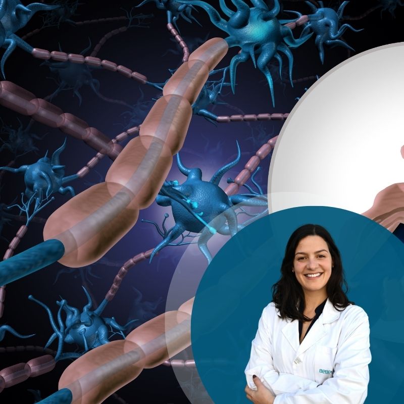 A Esclerose Múltipla (EM) continua a ser uma das doenças neurológicas mais desafiantes da medicina moderna. É uma doença autoimune em que o próprio sistema imunitário ataca a bainha de mielina que protege os nervos, provocando sintomas que vão da fadiga extrema a problemas de visão, de equilíbrio e de mobilidade. Afeta sobretudo adultos jovens, muitas vezes no início da vida profissional e familiar, e o seu curso é imprevisível. Os tratamentos disponíveis conseguem reduzir surtos e atrasar a progressão da doença, mas nenhum repara o dano já feito ao sistema nervoso. É aqui que as células do cordão umbilical têm vindo a ganhar espaço na investigação científica. O que mudou nos últimos anos O interesse por estas células não é novo, mas a evidência científica tem-se acumulado de forma consistente. Um dos primeiros marcos foi o relato, em 2013, de um doente com EM recorrente-remitente tratado com células mesenquimais de cordão umbilical e de medula óssea, que mostrou sinais de regeneração da bainha de mielina nas lesões cerebrais. Nos anos seguintes, surgiram os primeiros ensaios clínicos estruturados. Um dos mais citados é o estudo do Stem Cell Institute, no Panamá (NCT02034188), publicado em 2018 no Journal of Translational Medicine. Neste ensaio de fase I/II, vinte doentes com diferentes formas de EM receberam sete infusões intravenosas de células mesenquimais de cordão umbilical ao longo de uma semana e foram acompanhados durante um ano, com ressonâncias magnéticas, escalas de incapacidade (EDSS) e testes funcionais. Os resultados mostraram segurança, sem eventos adversos graves, e sinais de benefício clínico que justificaram continuar a investigação. Este não foi um caso isolado. Outros grupos, como o de Dahbour e colaboradores (2017), avaliaram também a segurança e a eficácia de células mesenquimais e de meios condicionados em doentes com EM, com resultados igualmente favoráveis do ponto de vista da segurança. Mais recentemente, a investigação tem entrado numa fase mais robusta e regulada. Estão atualmente a decorrer ensaios como o NCT05003388, nos Estados Unidos, a testar a segurança da infusão intravenosa de células mesenquimais de cordão umbilical em doentes com EM, e o NCT05532943 (UMSC01), um estudo de fase I/IIa que combina administração intratecal e intravenosa destas células, com conclusão prevista para 2028. O facto de estarmos a passar de relatos de caso isolados para ensaios multicêntricos, com fases regulatórias bem definidas, diz muito sobre a maturação deste campo. Porque fazem sentido as células do cordão umbilical O cordão umbilical — tanto o sangue como o tecido — é uma fonte particularmente interessante de células estaminais por várias razões. As células mesenquimais aí presentes têm propriedades anti-inflamatórias e imunomoduladoras bem documentadas, ou seja, ajudam a “acalmar” a resposta imunitária descontrolada que está na origem da EM. Ao contrário de outras fontes, como a medula óssea, a colheita do cordão umbilical não é invasiva para o dador nem para a mãe, e as células obtidas são geralmente mais jovens e com maior capacidade proliferativa. Isto é também o que torna a preservação de células do cordão umbilical, no momento do nascimento, uma decisão com um potencial que vai muito além do que se pensava há uma década. O que hoje é investigação em EM, doenças neurológicas, autoimunes e outras condições, pode amanhã traduzir-se em opções terapêuticas reais para essa criança ou para a sua família. Uma palavra de rigor Dito isto, é importante não criar expectativas desproporcionadas. Nenhum destes tratamentos está, para já, aprovado como terapêutica de rotina para a EM. Os ensaios existentes são, na sua maioria, pequenos, de fase inicial, e desenhados principalmente para avaliar segurança — a eficácia clínica sustentada ainda precisa de ser confirmada em estudos maiores, com grupos de controlo e seguimento mais longo. Uma revisão sistemática publicada em 2024 na Scientific Reports, que analisou nove ensaios clínicos randomizados sobre transplante de células estaminais em EM (a maioria com origem na medula óssea), reforça esta cautela: há resultados promissores, mas ainda com variabilidade relevante entre estudos. É esta combinação — entusiasmo justificado pela ciência, mas rigor na forma como comunicamos o que ela já demonstra — que deve orientar qualquer discurso público sobre este tema, especialmente quando vem de quem trabalha todos os dias com estas células. O caminho em aberto A EM continua sem cura, mas o caminho que a investigação com células do cordão umbilical tem percorrido nos últimos doze anos é notável: de relatos de caso isolados a ensaios internacionais multicêntricos, com dados de segurança sólidos e sinais de eficácia que justificam continuar a investir. Como laboratório que preserva estas células diariamente, sentimos a responsabilidade de acompanhar de perto esta evolução — e de a comunicar com honestidade, sem promessas prematuras, mas também sem subestimar o que está, de facto, a acontecer. O futuro da EM pode não passar apenas por travar a doença, mas por reparar o que ela destrói. As células do cordão umbilical são, hoje, um dos caminhos mais sérios que a ciência está a explorar nessa direção. Referências 1. Riordan, N.H., Morales, I., Fernández, G., et al. (2018). Clinical feasibility of umbilical cord tissue-derived mesenchymal stem cells in the treatment of multiple sclerosis. Journal of Translational Medicine, 16, 57. Ensaio clínico NCT02034188. 2. Hou, Z.L., Liu, Y., Mao, X.H., et al. (2013). Transplantation of umbilical cord and bone marrow-derived mesenchymal stem cells in a patient with relapsing-remitting multiple sclerosis. Cell Adhesion & Migration, 7, 404–407. 3. Dahbour, S., Jamali, F., Alhattab, D., et al. (2017). Mesenchymal stem cells and conditioned media in the treatment of multiple sclerosis patients: clinical, ophthalmological and radiological assessments of safety and efficacy. CNS Neuroscience & Therapeutics, 23, 866–874. 4. ClinicalTrials.gov. NCT05003388 — Safety of Cultured Allogeneic Adult Umbilical Cord Derived Mesenchymal Stem Cell Intravenous Infusion for the Treatment of Multiple Sclerosis.